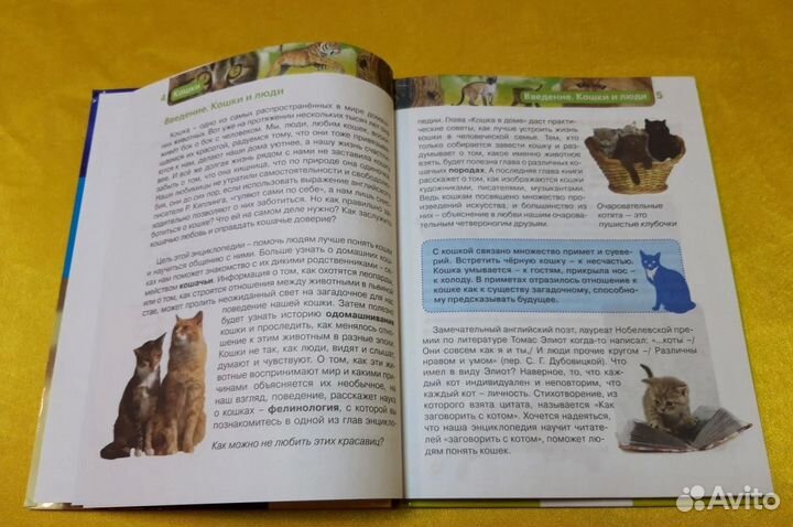 Кoшки. Энциклoпeдия знaний. Елена Широнина