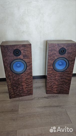 Акустика Audio Note AN - E / LX HE