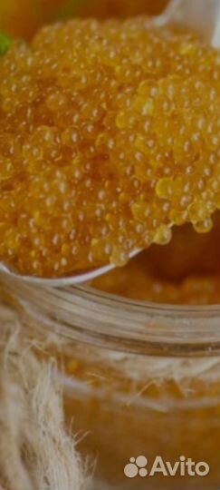 Красная икра