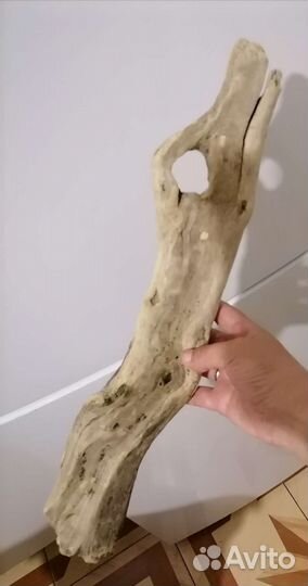 Морские коряги