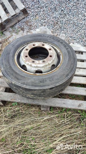 Резина r 19.5 continental