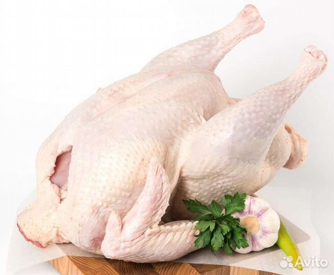 Мясо домашнего индюка индейки