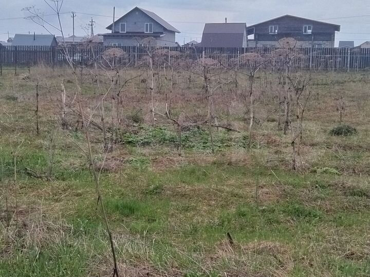 Участок 15 сот. (СНТ, ДНП)