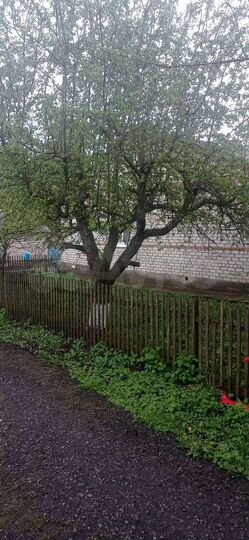 Дом 105 м² на участке 30 сот.