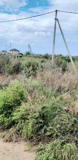 Участок 94,3 сот. (СНТ, ДНП)