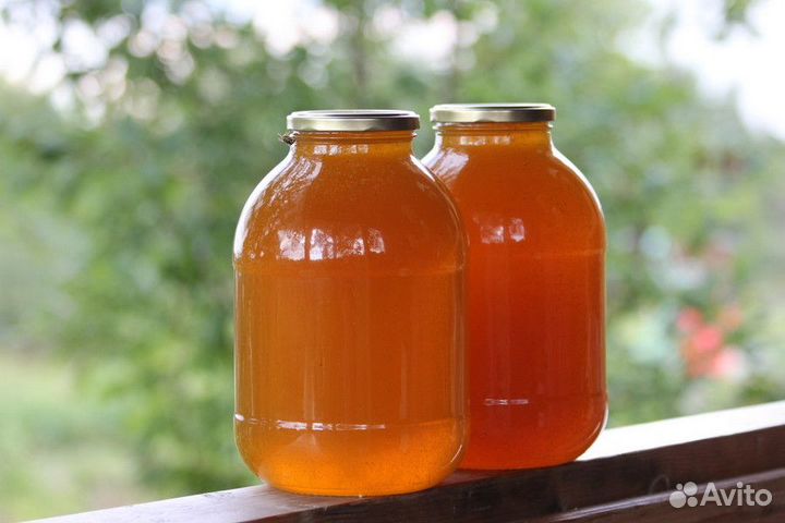 Мед 2024 года