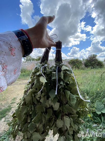 Веники: дуб, береза, липа, пихта