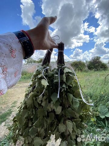 Веники: дуб, береза, липа, пихта