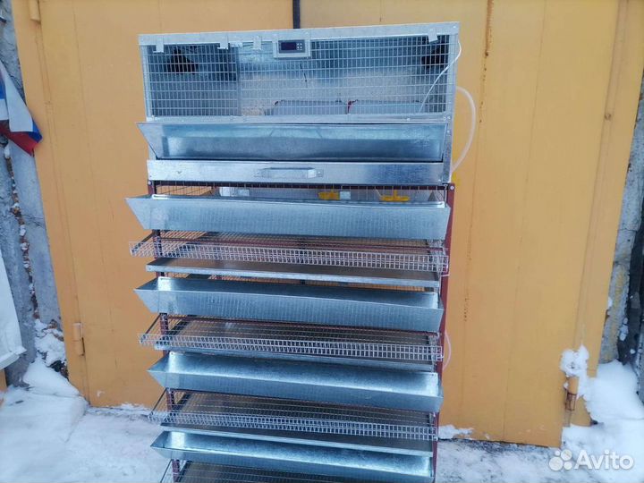 Брудеры и клетки