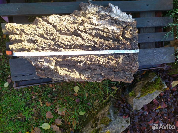 Кора березы. Береста