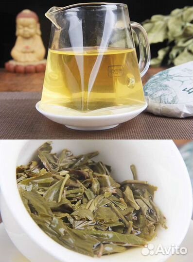 Чай зеленый Шен Пуэр 