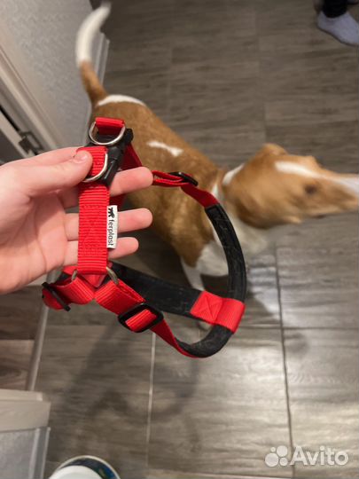 Шлейка Ferplast