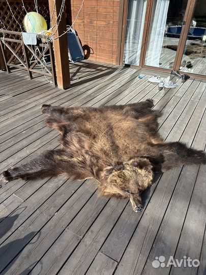 Шкура медведя имитация