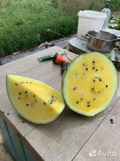 Арбузы оптом