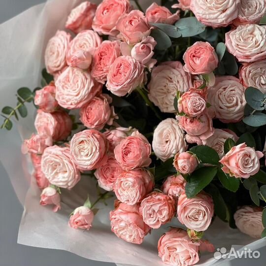 Кустовые розы