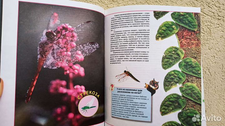 Книги для детей и взрослых