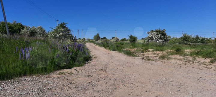 Участок 10 сот. (СНТ, ДНП)