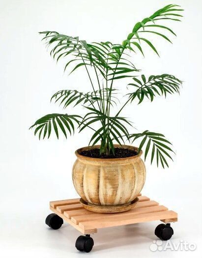 Поддоны для цветов влагостойкие