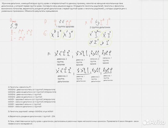 Репетитор по биологии егэ/огэ/впр