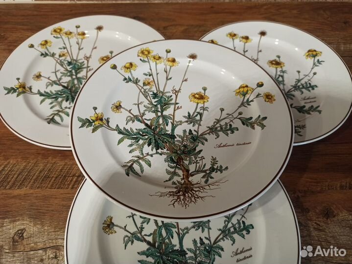 Villeroy&Boch Botanika Ботаника Тарелки 24-27 см