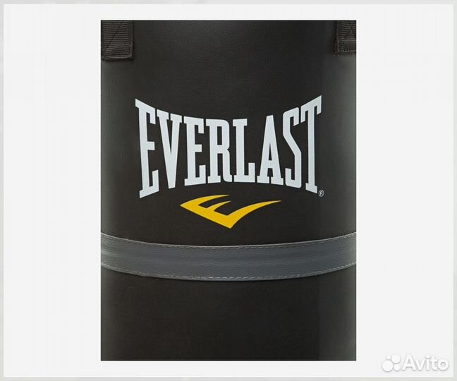 Мешок набивной Everlast, 45 кг