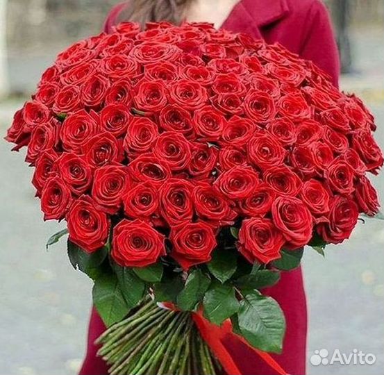 Высокие Розы с Доставкой