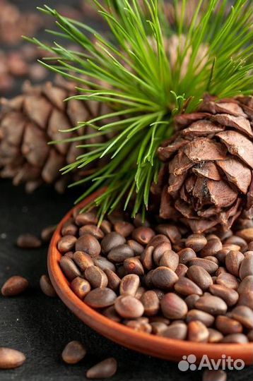 Кедровый орех