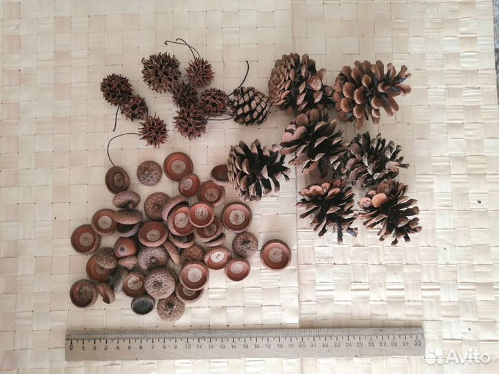 Природные материалы для творчества