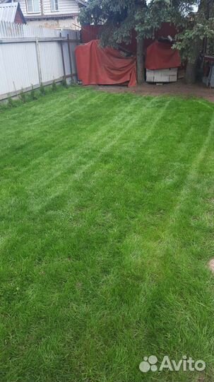 Покос травы любой сложности (Триммер-Косилка )