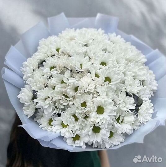 Доставка букетов и цветов. Хризантема