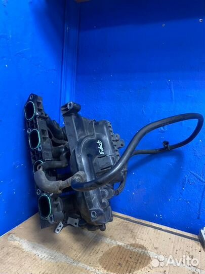 Коллектор впускной Ford Focus pnda 2014