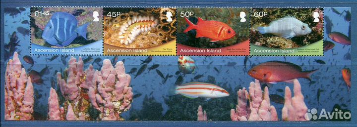 Почтовые марки Фауна Рыбы Дельфины Киты