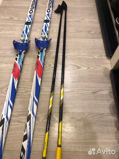 Беговые лыжи sable