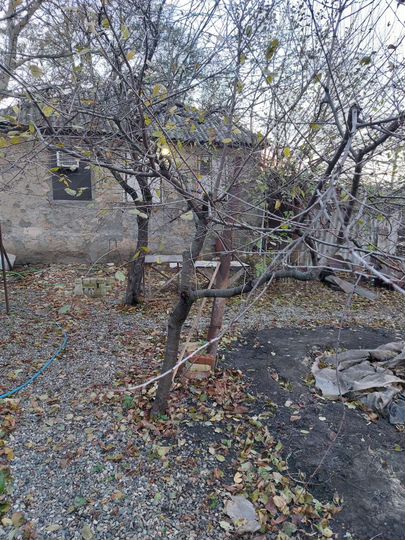 Дом 38 м² на участке 13 сот.