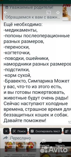 Товары для животных