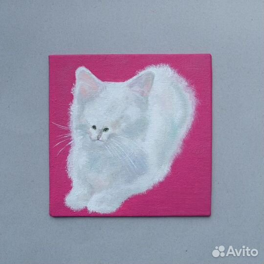 Холст Белый кот с маленьким лицом
