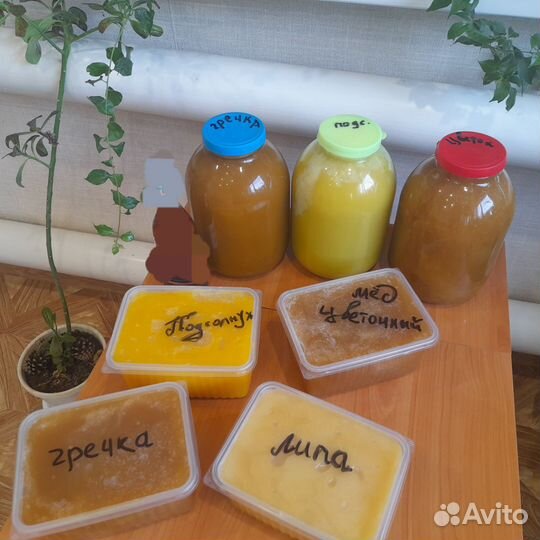 Продаю мёд