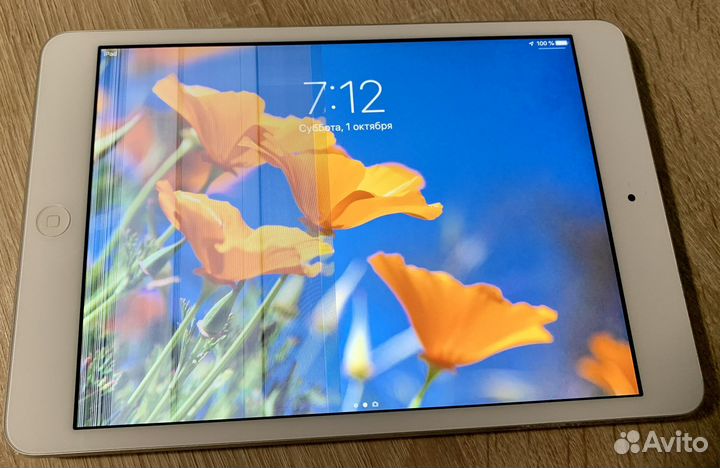 iPad 2 mini