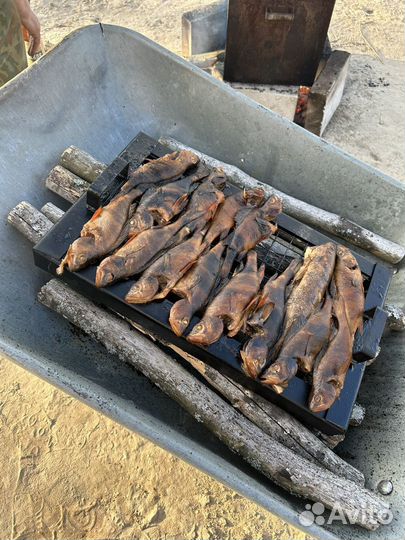 Прокат лодок. Рыбалка. Охота