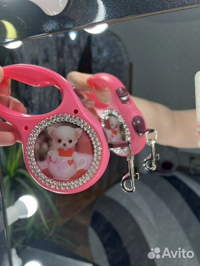 Рулетка для собак