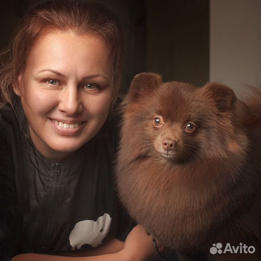 Стрижка собак и кошек