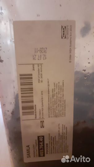 Улитки ахатины