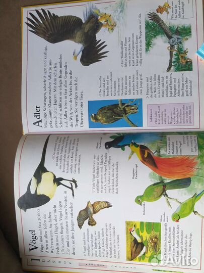 Книги на немецком языке для детей