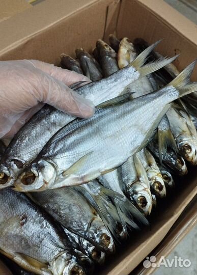 Астраханская вяленая рыба