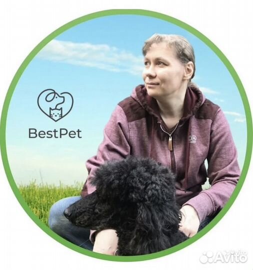 Кинолог, Зоопсихолог, онлайн-консультации