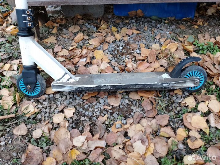 Самокат блек аква