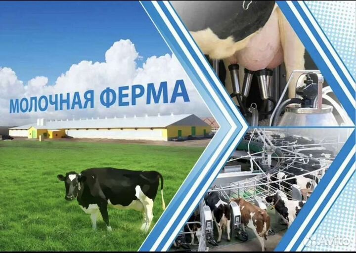Молочному предприятию требуются сотрудники