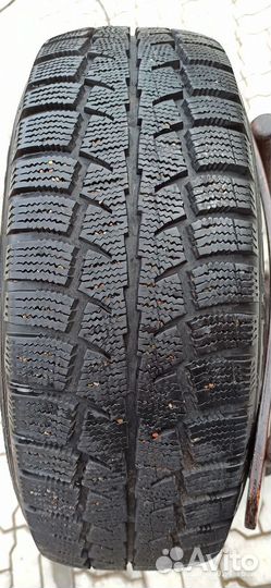 Cordiant Polar SL 195/65 R15 91T