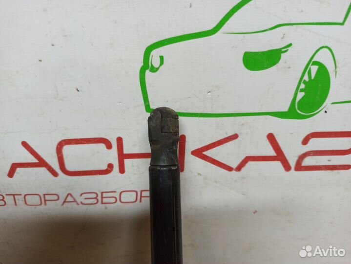 Амортизатор капота VW Tiguan 2 (2016+)