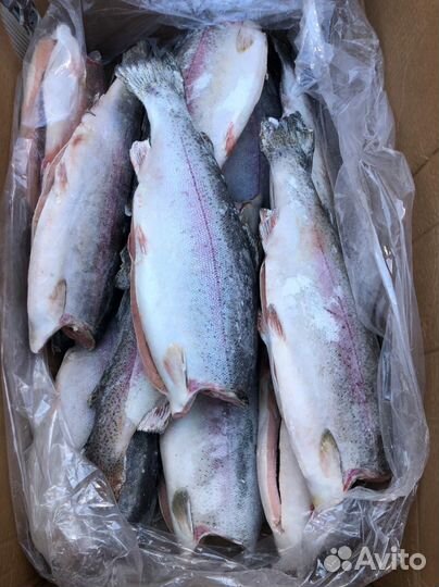 Рыба свежемороженая. Напрямую с камчатки. Опт